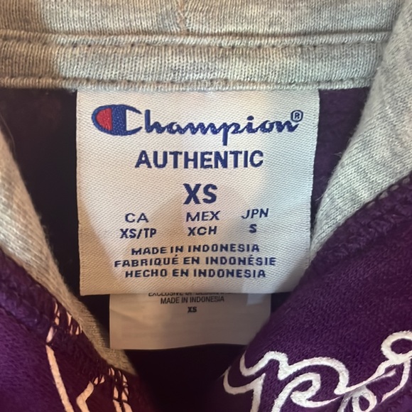 Champion Sweatshirt - Picture 5 of 9
